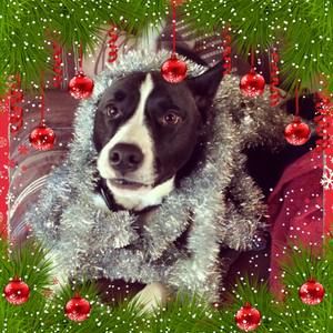 Meet your Posher, Jenn